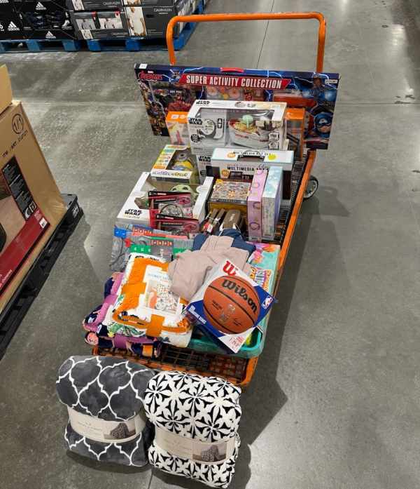 haul of toys for shelter